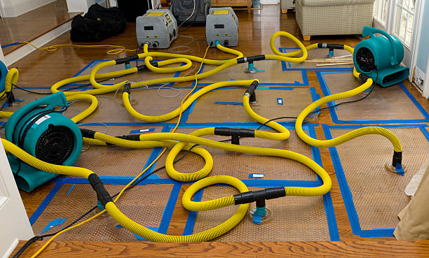Professional Water Damage Repair technician working in Texas, TX